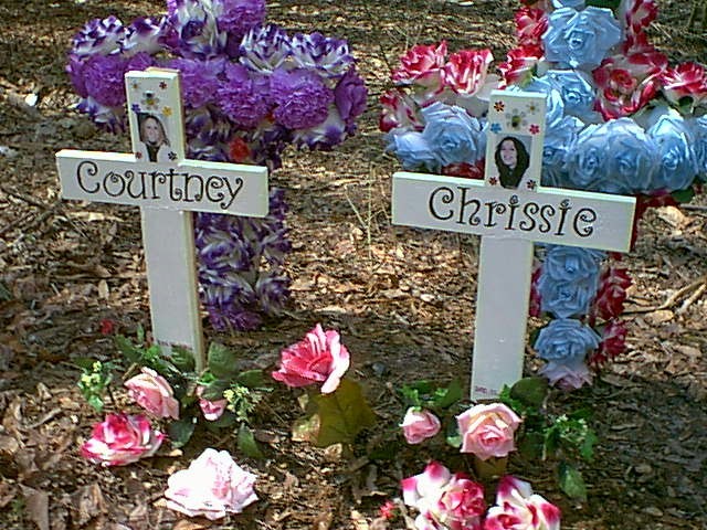 Crash Site Close